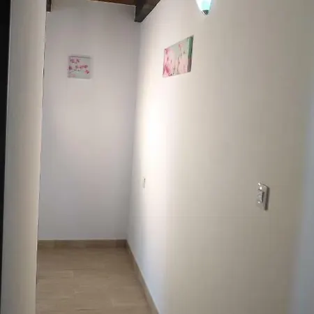 Apartment Ayla
